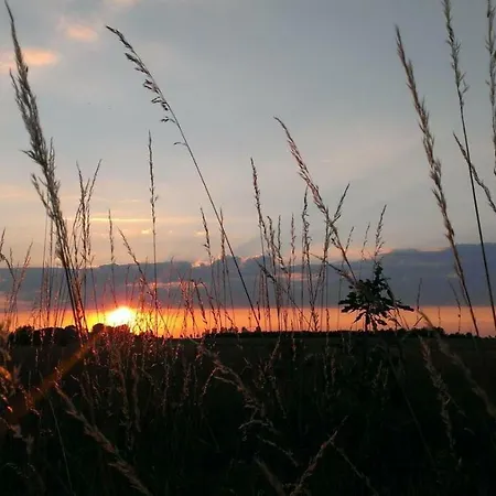 Mit Terrasse 公寓 格里马