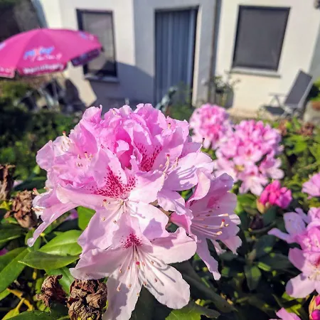 Mit Terrasse *