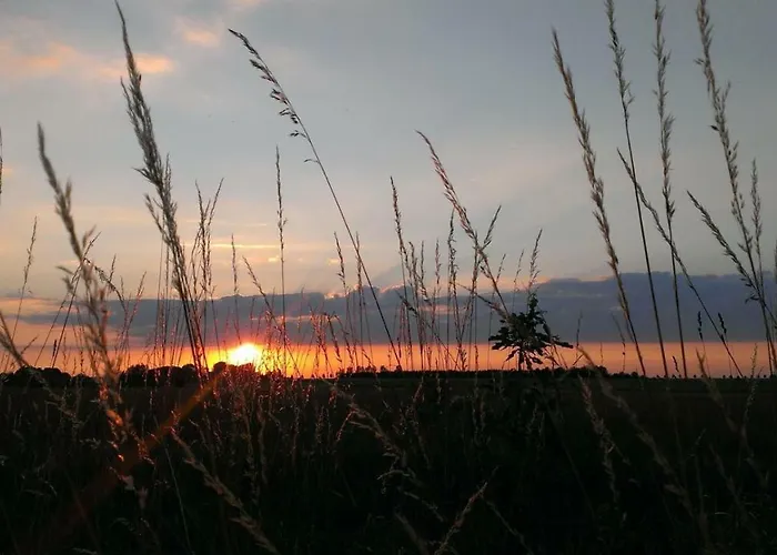 Mit Terrasse Daire Grimma