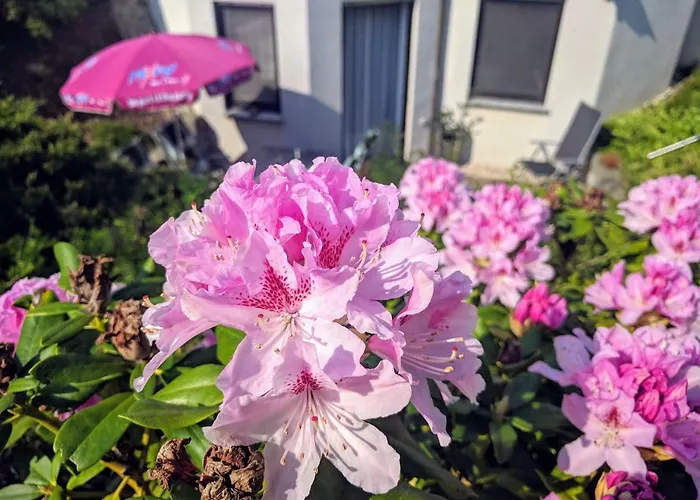 Mit Terrasse *